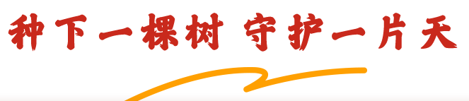 种下一棵树 守护一片天